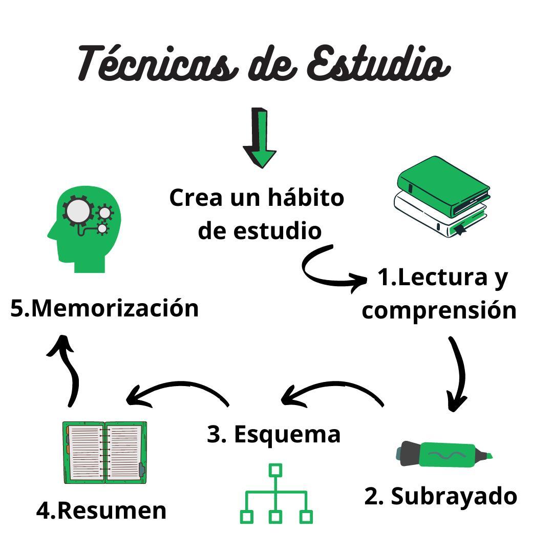 Técnicas​ e Dicas para Obter Resultados de Alta Qualidade